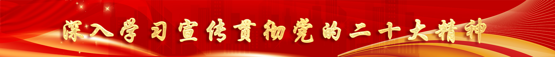 喜迎二十大，奮進(jìn)新征程 